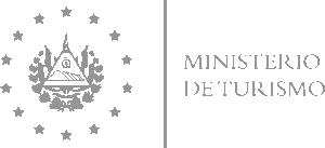 Presentación Primenial-24